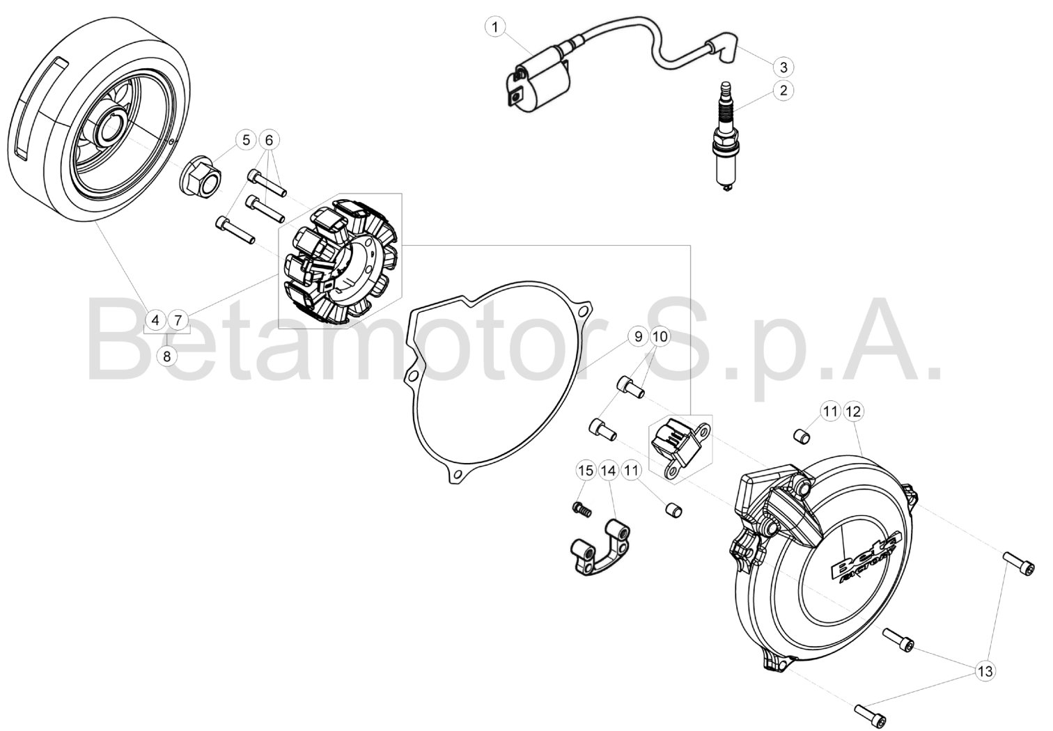 ENGINE ELECTRONICS (125-250-300CC)