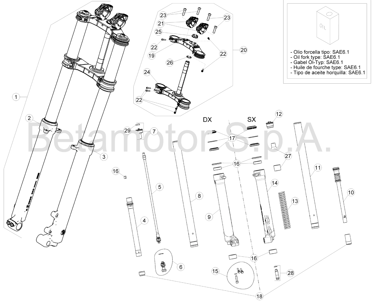 FRONT FORK (300CC)