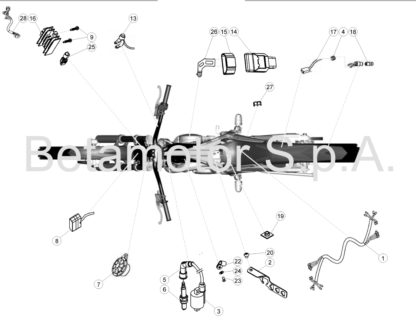WIRING HARNESS (250CC)
