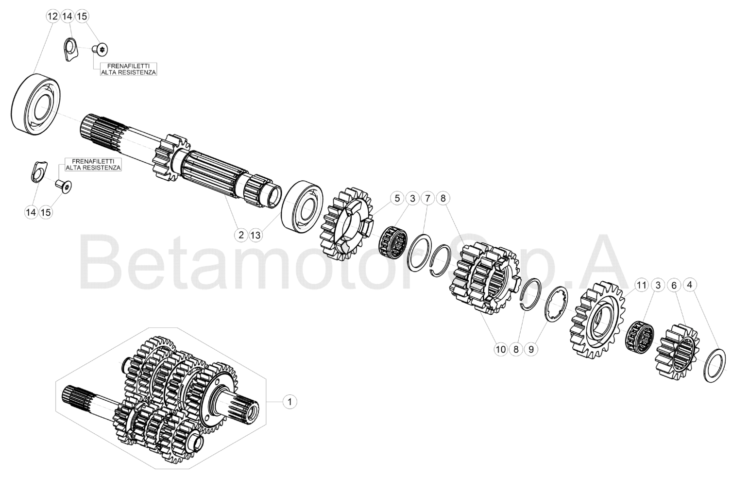 PRIMAIRY GEARS