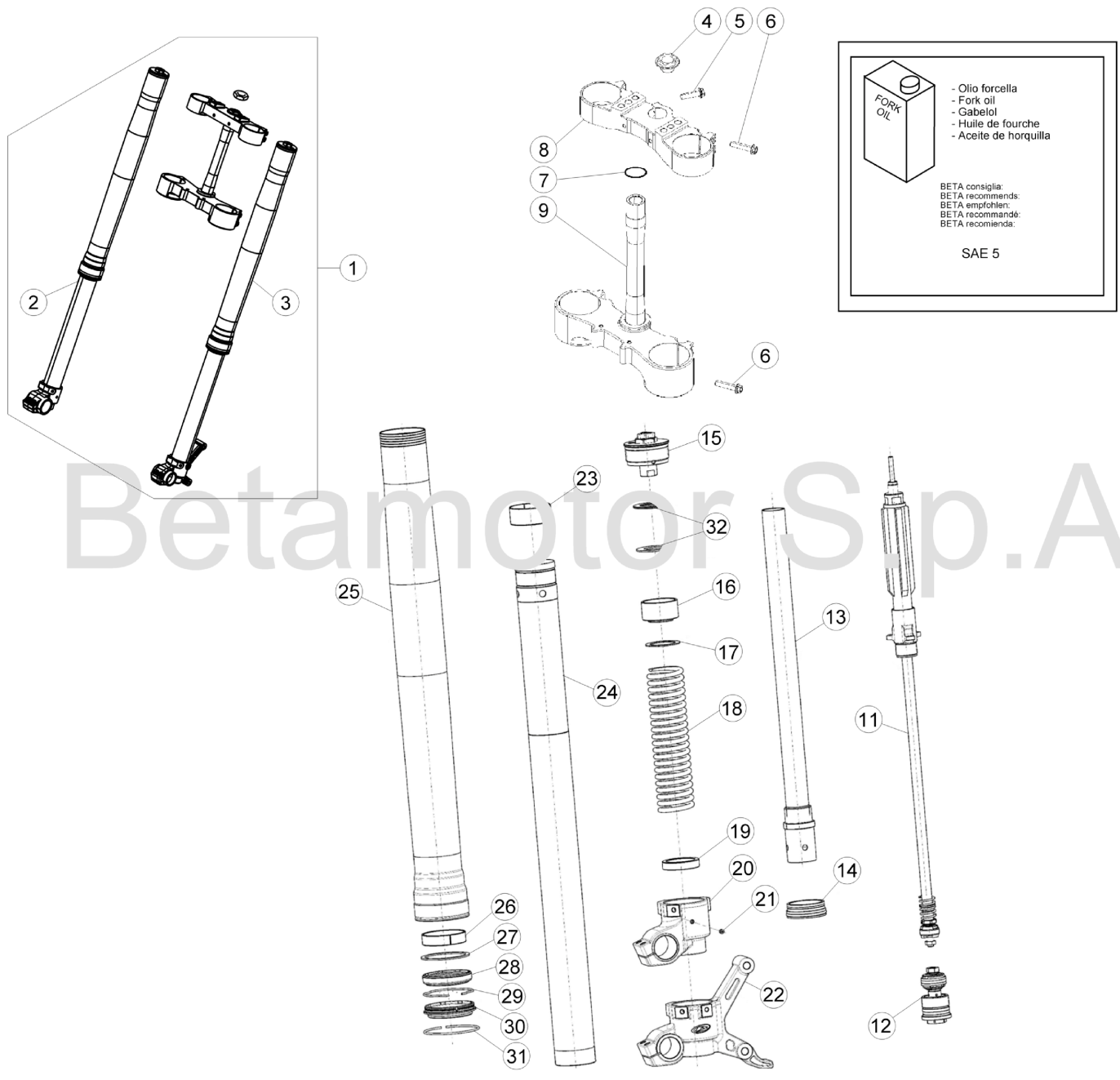 FRONT FORK STANDARD