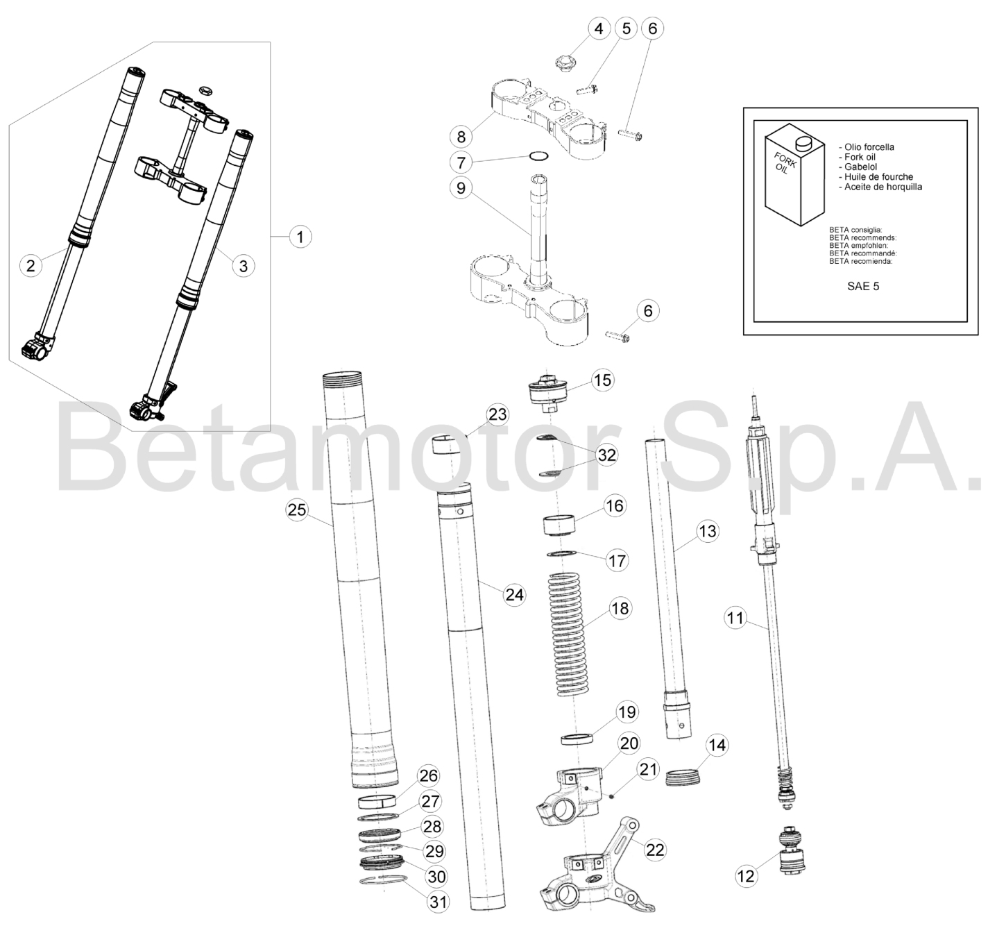 FRONT FORK STANDARD