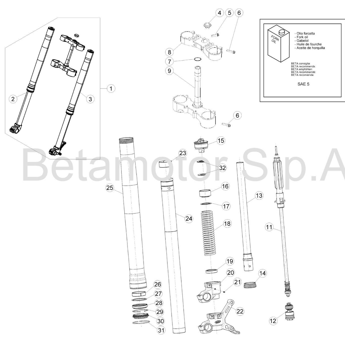 FRONT FORK STANDARD