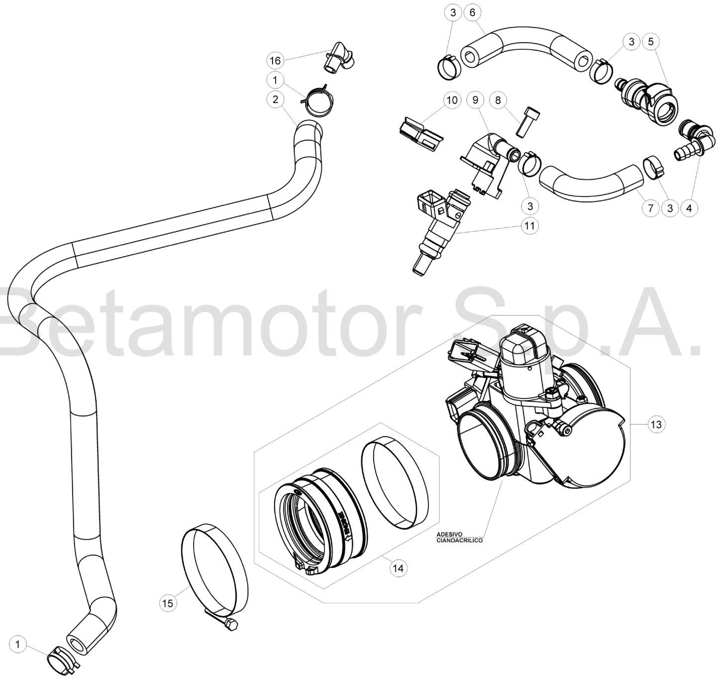 THROTTLE BODY