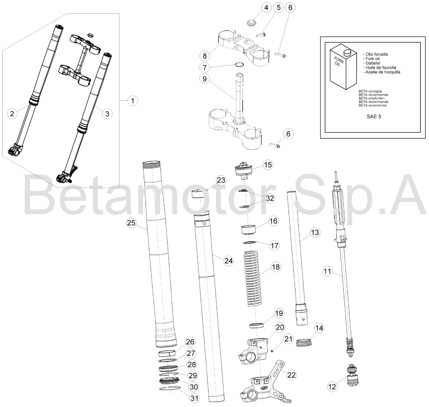 FRONT FORK STANDARD