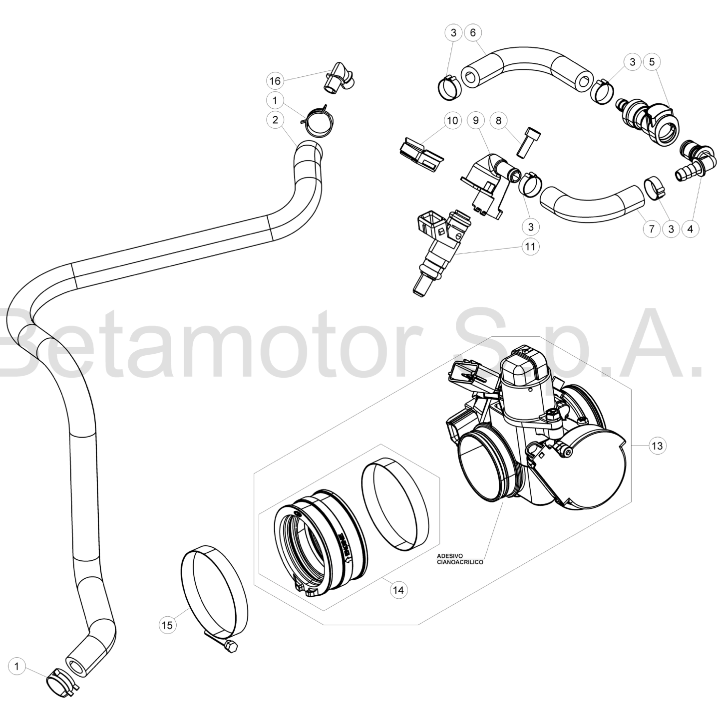 THROTTLE BODY