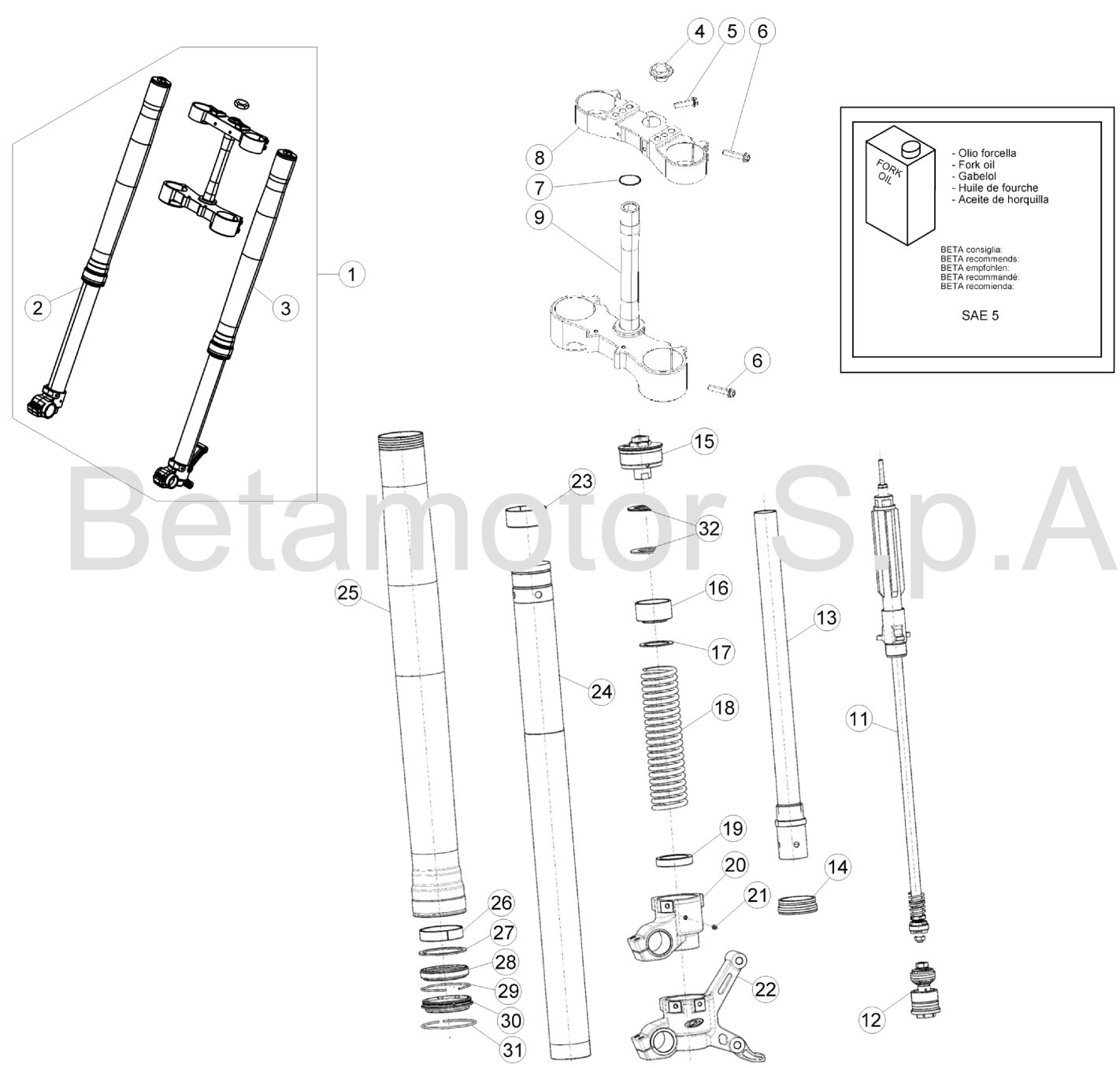 FRONT FORK STANDARD